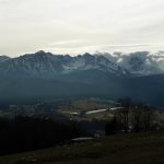 Czym charakteryzują się dobre tabletki na odchudzanie?