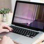 Stale odporne na niskie temperatury – właściwości, gatunki i zastosowania